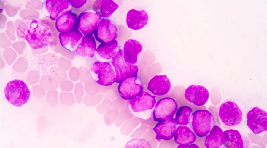 Pathology Services and Consultations